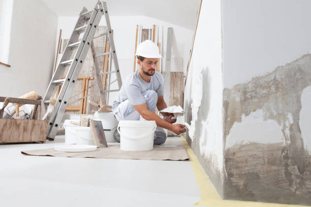 Best Mold Removal for HVAC Installations  in Prospect Park, NJ